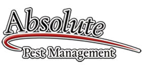 Absolute Pest Management